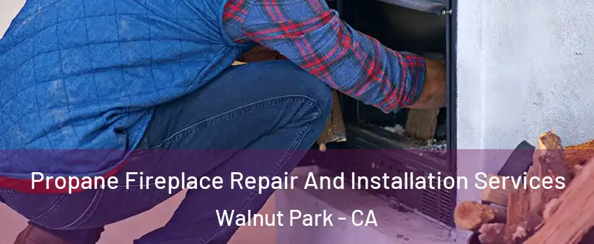 Propane Fireplace Repair And Installation Services Walnut Park - CA