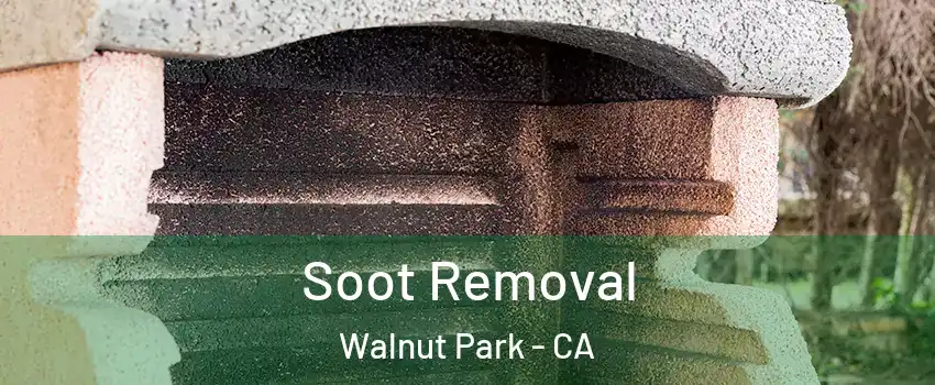  Soot Removal Walnut Park - CA