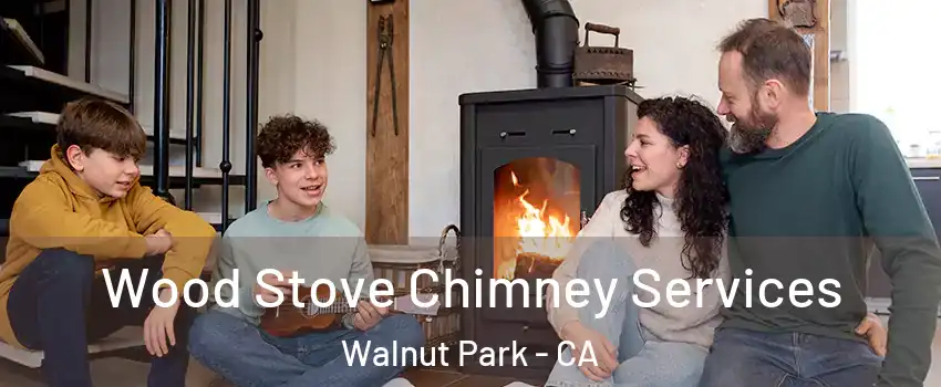  Wood Stove Chimney Services Walnut Park - CA